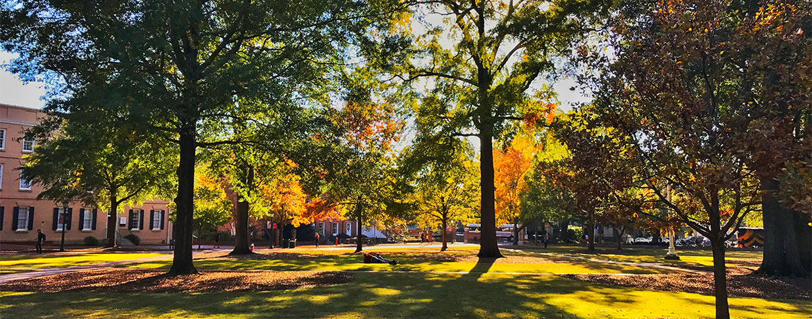 fall on the horseshoe