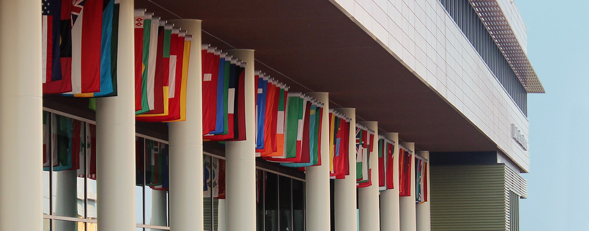 Banner: International Business