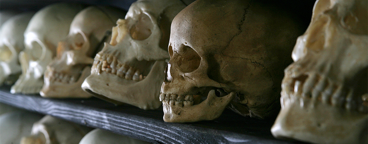 Banner: Anthropology