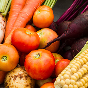 A selection of fresh healthy food, such as tomatoes, corn, carrots and other root vegetables.